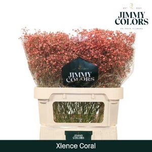 Gyps Xlence L80 Coral