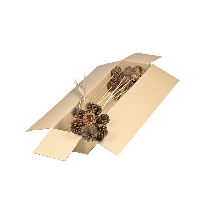 <h4>Pine Cone 4-6cm O/s 10pc Sb Natural</h4>