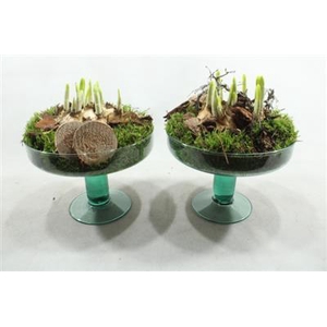 3238 GLAS OP VOET TETE!!