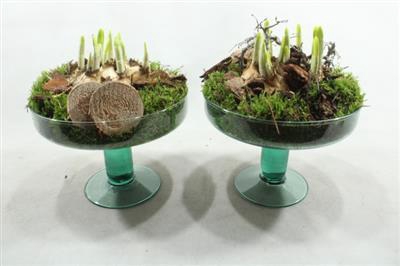 <h4>3342 GLAS OP VOET TETE</h4>