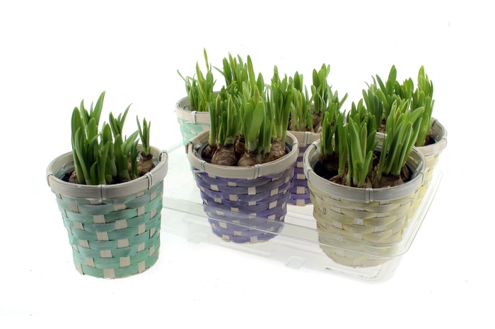 <h4>ARR N TETE A TETE</h4>