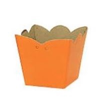 <h4>CACHEPOT MEDIO 6 x 9 x 9 CM COM 10 UN LARANJA</h4>