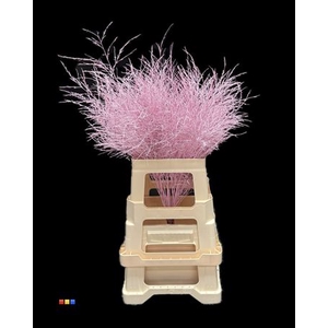 Treefern Light Pink