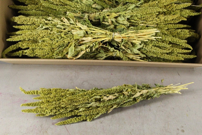 DF Amaranthus Green Bs 260g
