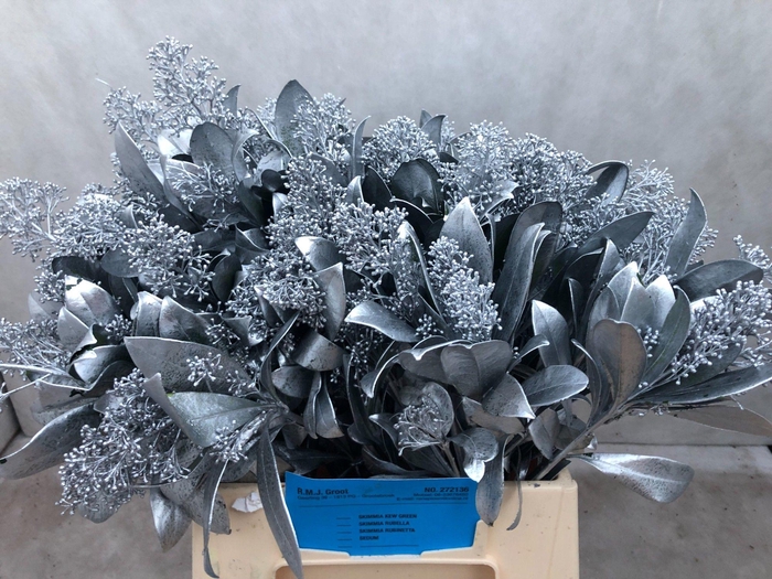 <h4>SKIM OV BS KLB H%</h4>