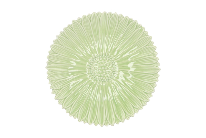 Bloom Daisy Plate Green 24x24x4cm