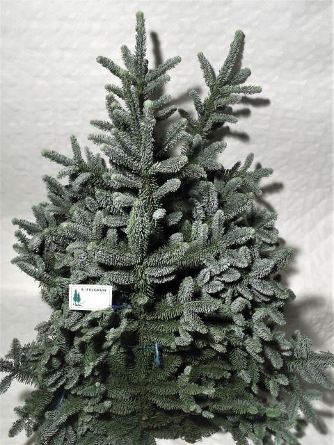 <h4>NOBILIS BLAU P KILO 5kg</h4>