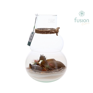 Green Bottle Olaf Large met Maritiem arrangement