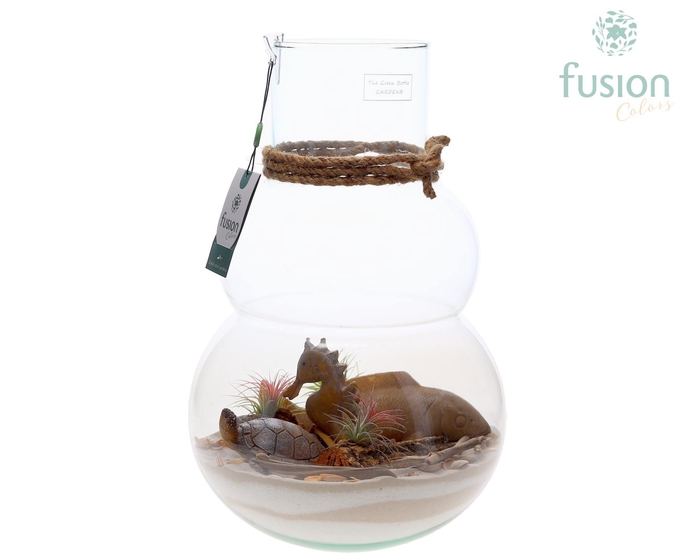 <h4>Green Bottle Olaf Large met Maritiem arrangement</h4>