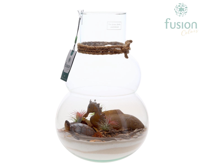 <h4>Green Bottle Olaf Large met Maritiem arrangement</h4>