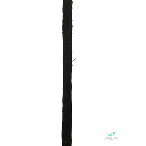 CACTUS STEM 100CM BLACK
