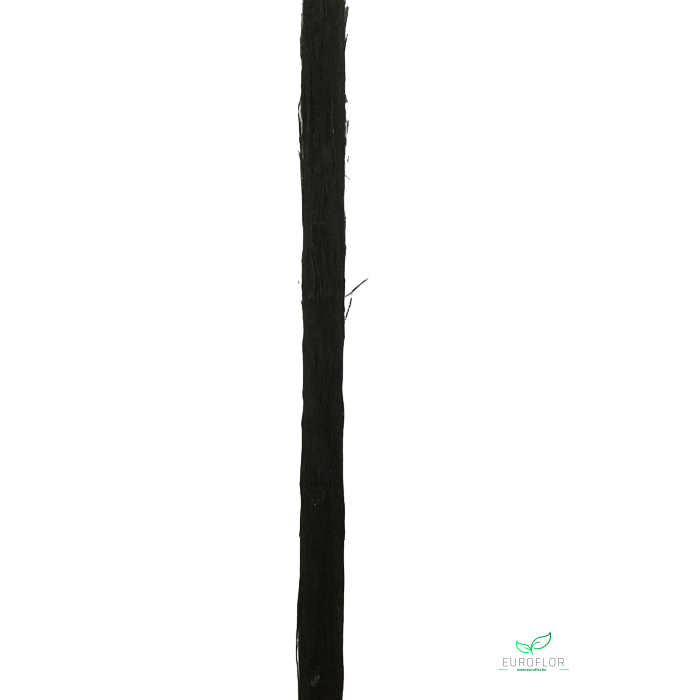 <h4>CACTUS STEM 100CM BLACK</h4>