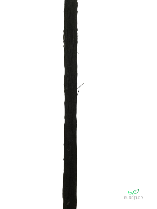CACTUS STEM 100CM BLACK