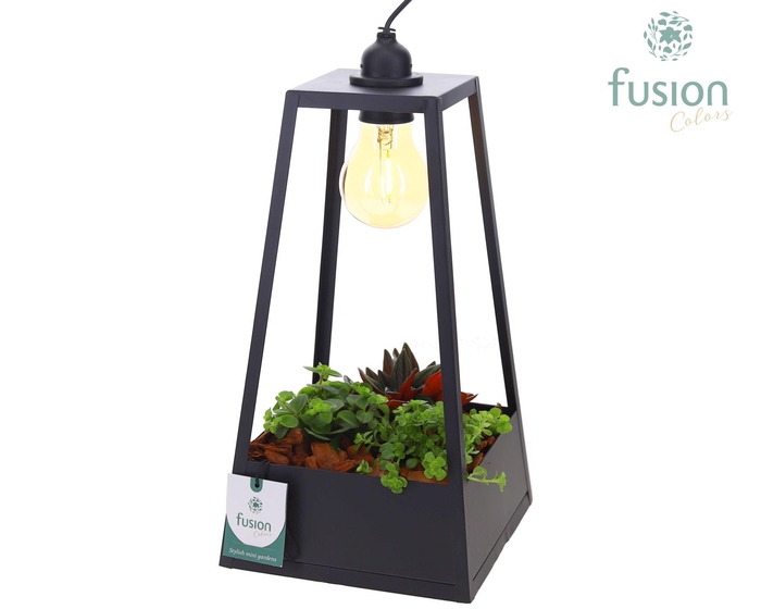 <h4>Lantaarn metaal zwart met verlichting met groene planten</h4>