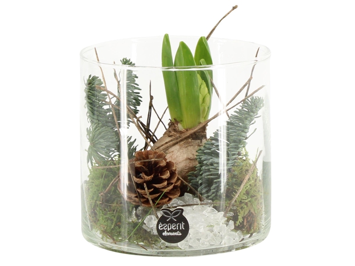 <h4>61694: X-mas arrangement</h4>