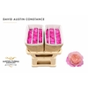 Rosa David Austin Constance