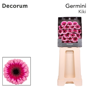 Germini Kiki Diamond