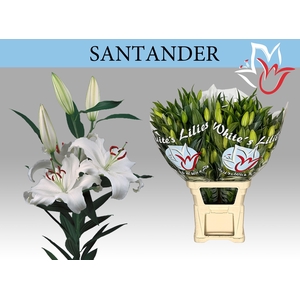 LI OR SANTANDER