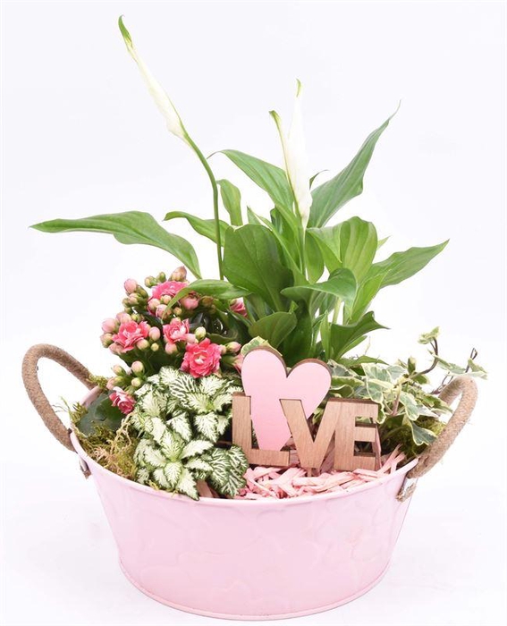 <h4>Zink schaal roze hart 25cm</h4>