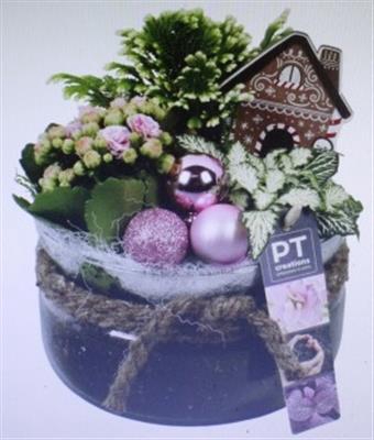 <h4>3530 ROZE BOSE X6</h4>