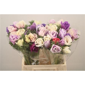 Anem Mistral Pastello Super