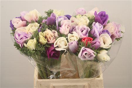 <h4>Anem Mistral Pastello Super</h4>