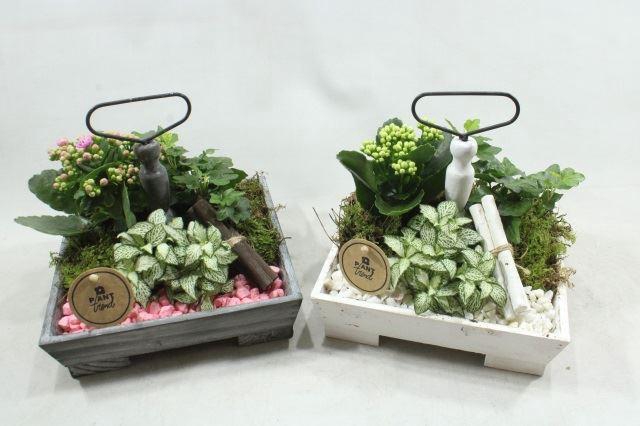 <h4>6623 ETAGERE 4 KANT</h4>