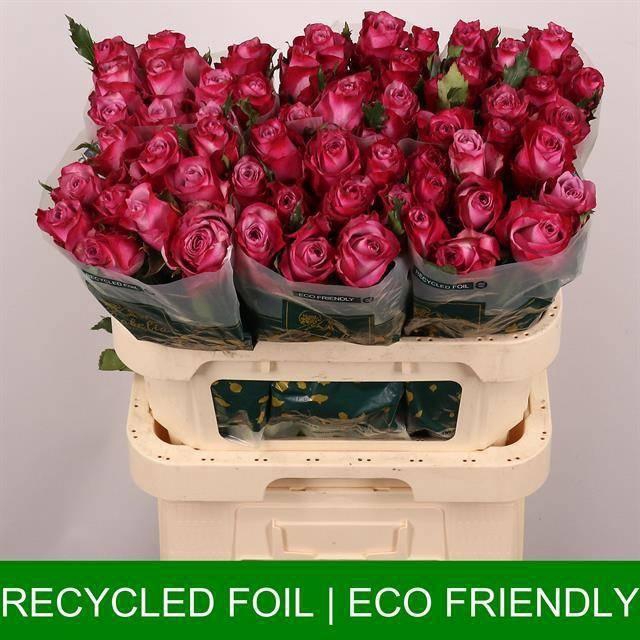 <h4>R GR DEEP PURPLE</h4>