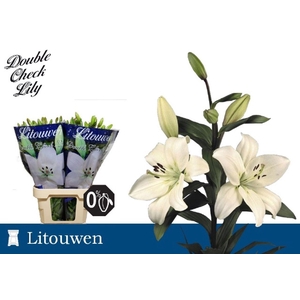 LI LA LITOUWEN LI LA LITOUWEN