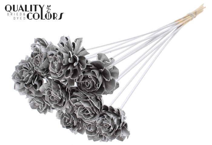 Shola Dahlia 6cm on stem Platina