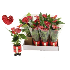 Anthurium 7 cm Diamond Red in Kris ceramics