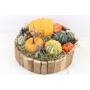 arr4 Sierfruit MB - Hout rond bruin XL