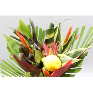 Heliconia Bqt Petit Rond