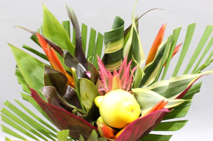 <h4>Heliconia Bqt Petit Rond</h4>