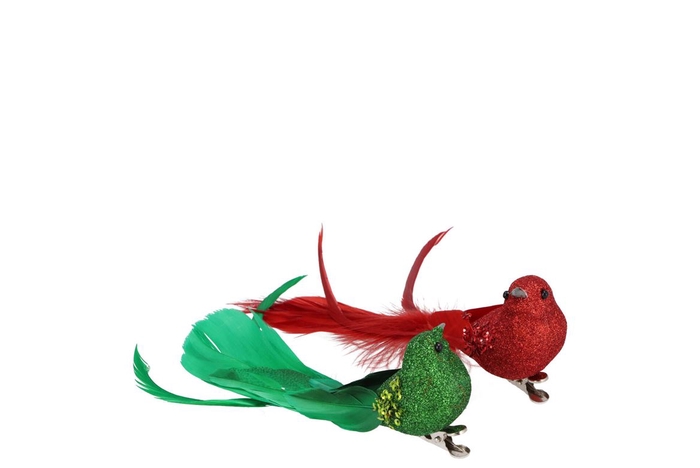 <h4>Deco Shine Bird Clip Traditional 16cm Ass Per 2</h4>