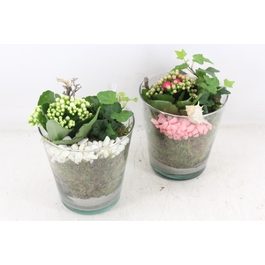 arr2 MB - Glas pot 234/4 - roze/wit