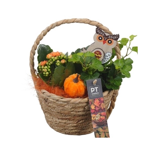 <h4>PTHI5418 Arrangement Herfst Indoor in rieten mand</h4>