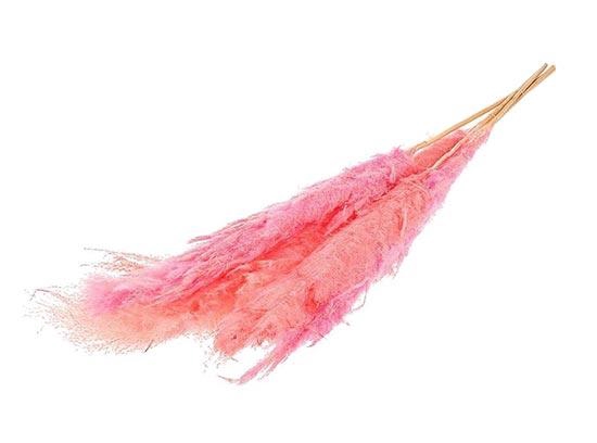 Bunch Gynerium 5 Pcs Slv L120