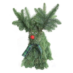 Nobilis rensdy 55 cm