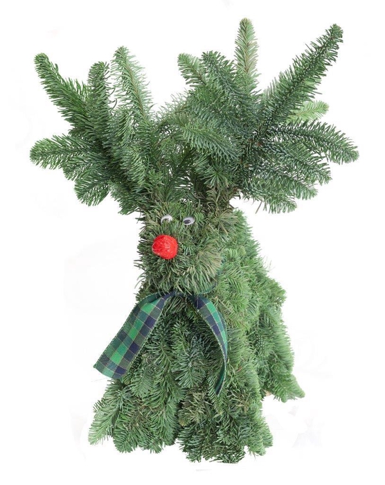 <h4>Nobilis rensdy 55 cm</h4>