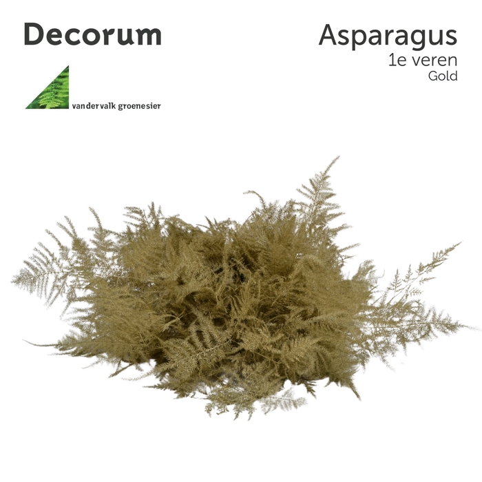 ASP 1e veren Gold 45cm box x50