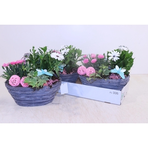 ARR TUINPLANTEN