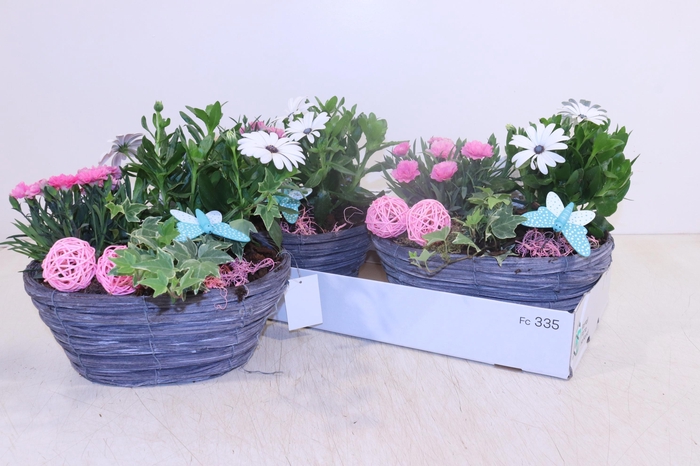 <h4>ARR TUINPLANTEN</h4>