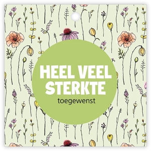Kadokaartje 'Beetle' à 12 St. Heel