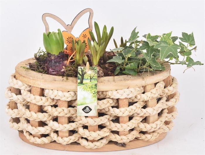 <h4>Hout ovaal met touw 30x12cm</h4>