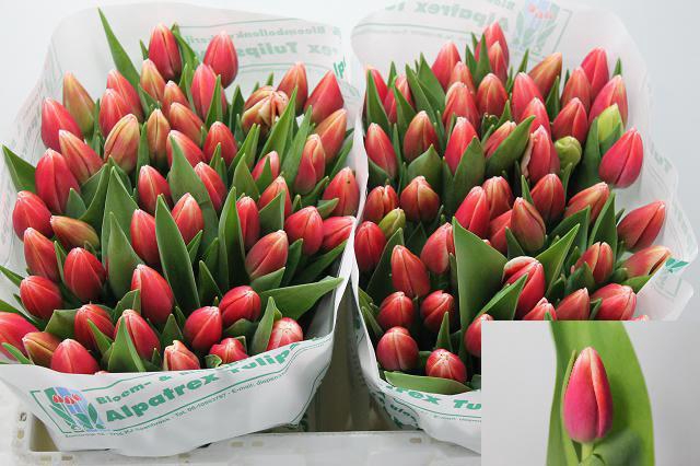 <h4>TU EN OUTFIT</h4>