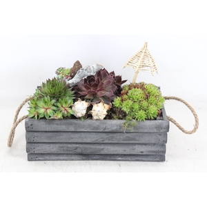 arr4 Semp VL - Hout grijs latjes rechth. x3