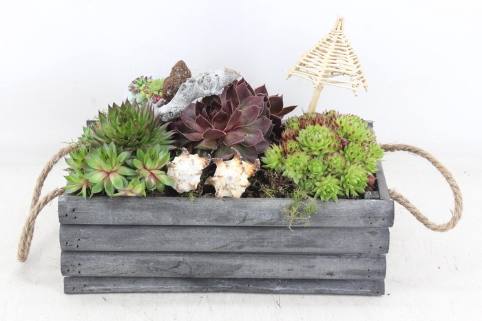 <h4>arr4 Semp VL - Hout grijs latjes rechth. x3</h4>