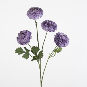AF Ranunculus spr x4 L70cm pu