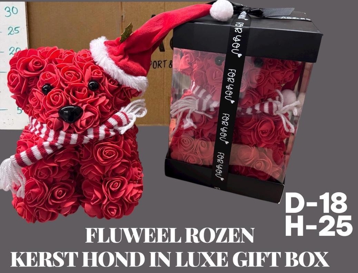 <h4>HUIS EN TUINDECO H%</h4>